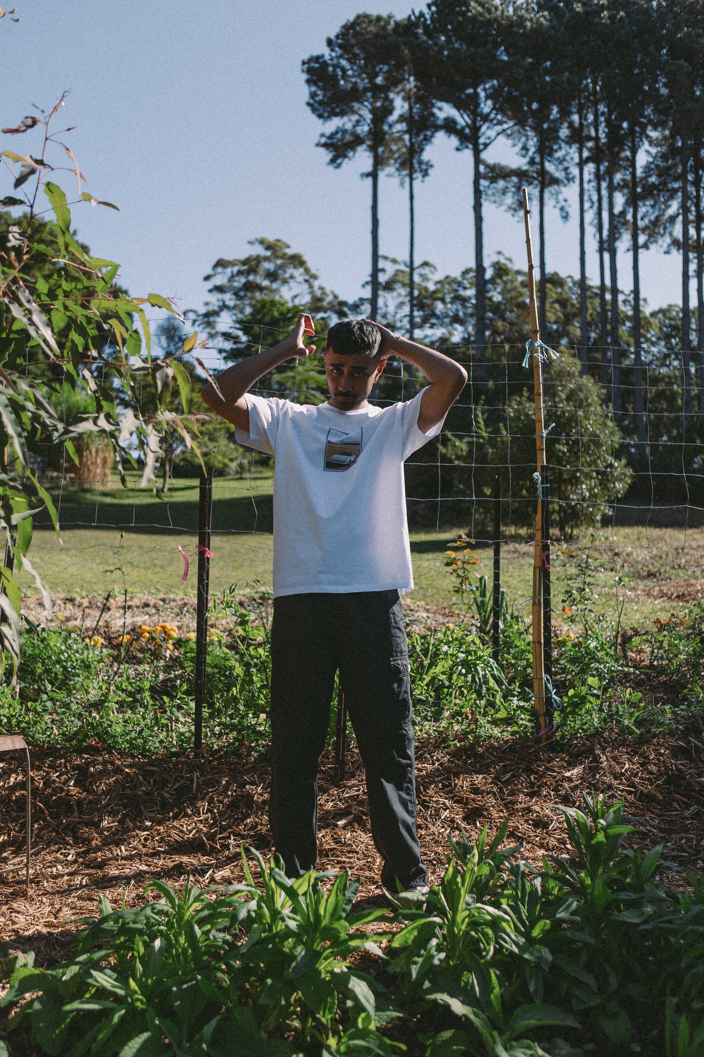 Mens Tees