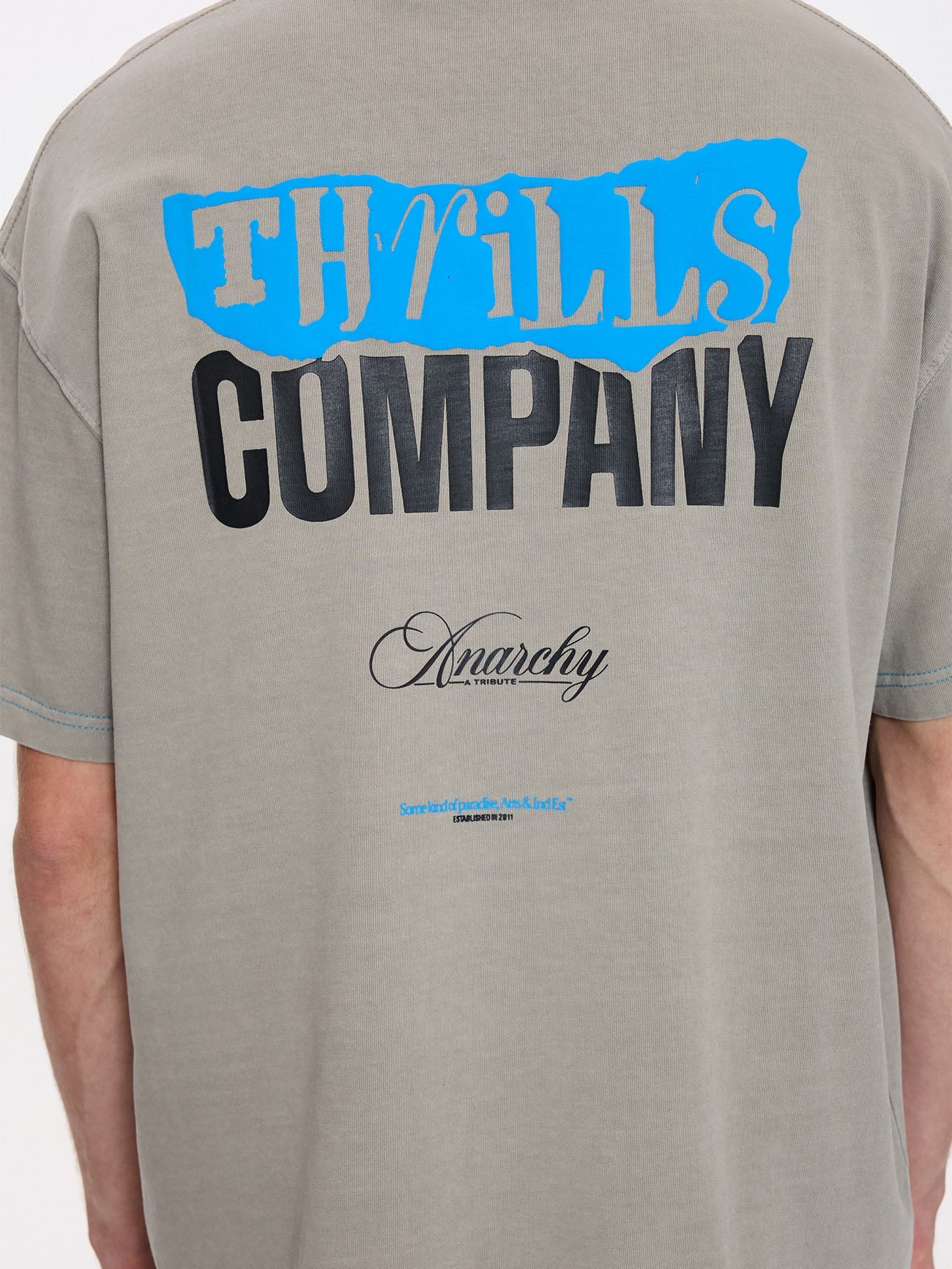 Total Anarchy Box Fit Oversize Short Tee - Fog